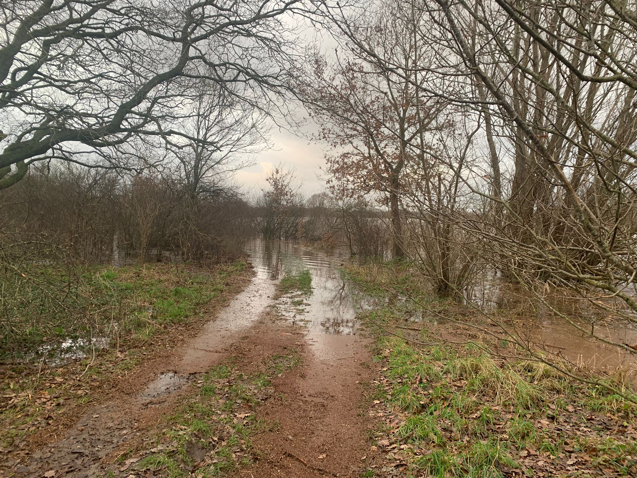 Foto’s hoog water rondom Gramsbergen