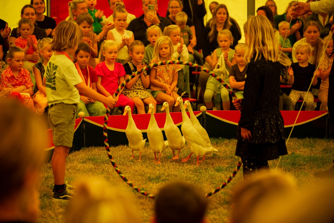 Kindermiddag – Groot spektakel voor kleine avonturiers!