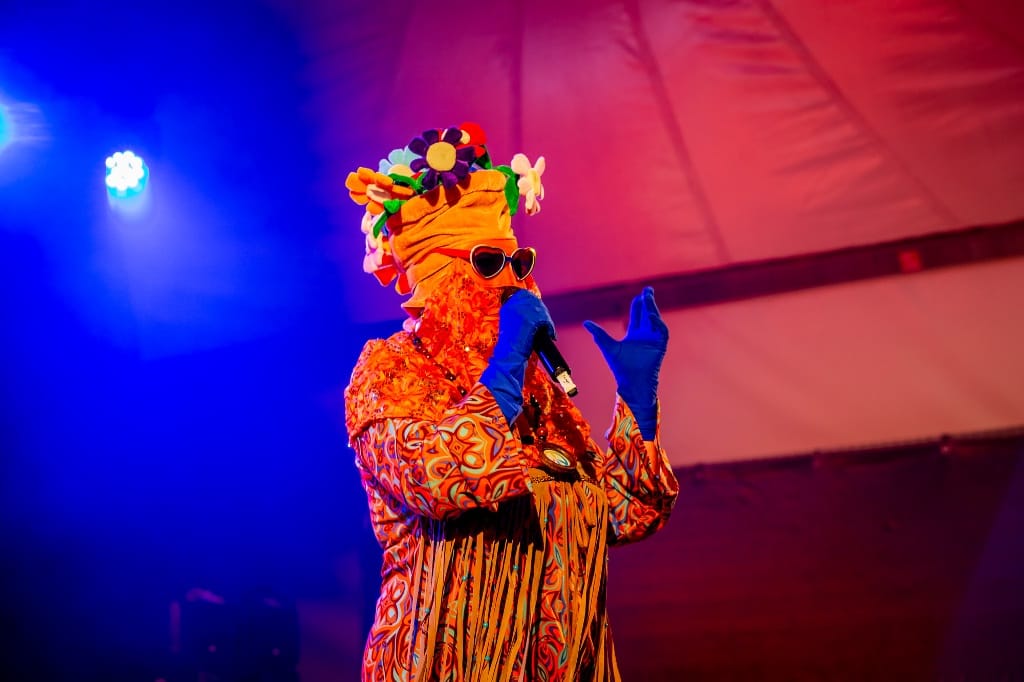 Wat een avond bij The Masked Singers!