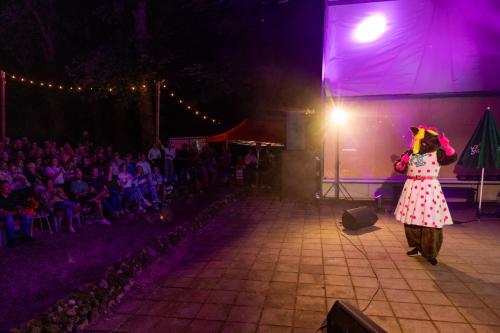 The-masked-singer-198-van-211