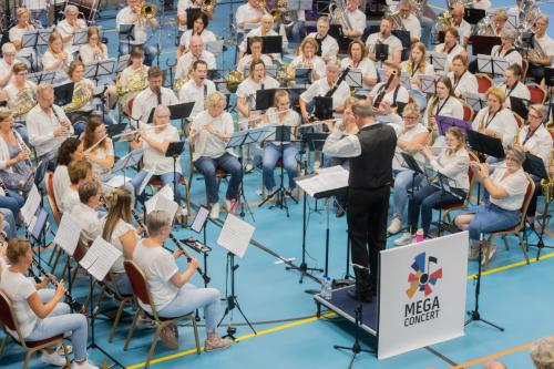 MegaConcert-9663
