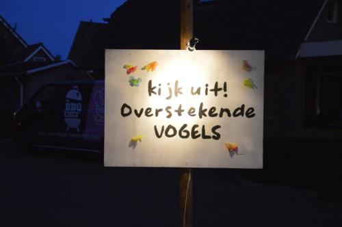 Versierde-straten-lozubrug-4