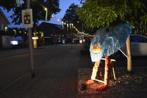 Versierde-straten-lozubrug-6