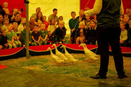 Kindermiddag-2025-25