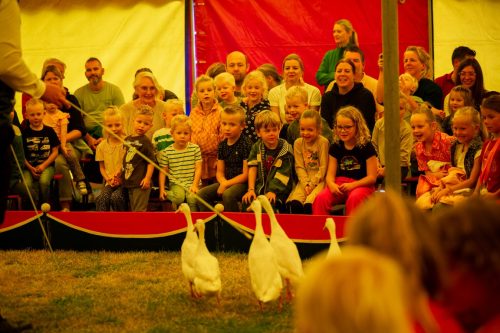 Kindermiddag-2025-26