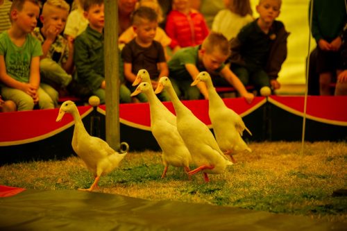Kindermiddag-2025-27