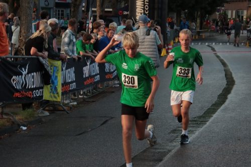 3-km.-volw.-1