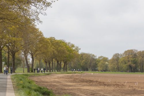 Koningsdag2026-6202