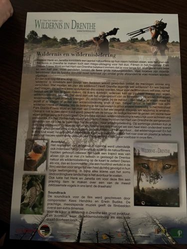 Wildernis-in-Drenthe-2025-1