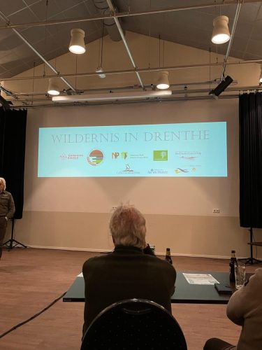Wildernis-in-Drenthe-2025-3