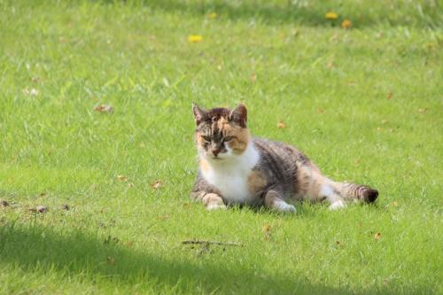 Fietstocht-Koningsdag-2023-59